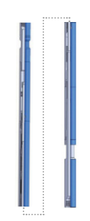 黑龍江成人午夜免费APP